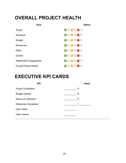 Executive Project Dashboard — Executive Reporting Toolkit Pro — physical page 25